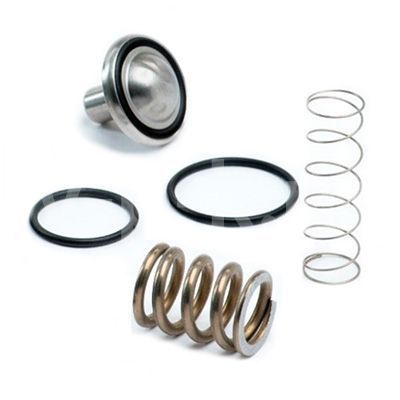 VMC Zestaw naprawczy zaworu min. ciśnienia G25-G26-G25F art.: 220.1150