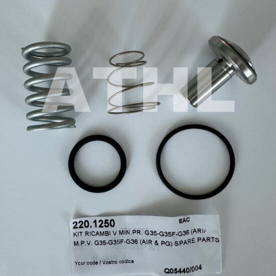 VMC Zestaw naprawczy zaworu min. ciśnienia G35-G36-G35F art.: 220.1250