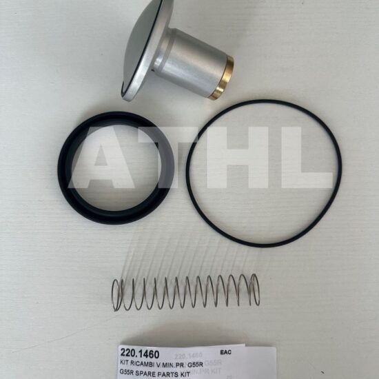 VMC Zestaw naprawczy zaworu minimalnego ciśnienia G55R art.: 220.1460